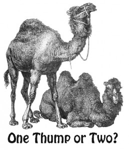 One Thump or Two