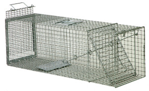 Pricing Trap