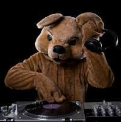DJ Bear