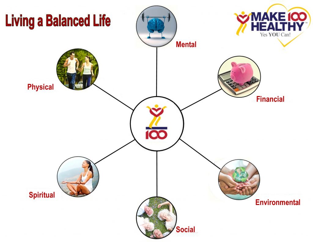 Make 100 Healthy Wheel of Life New